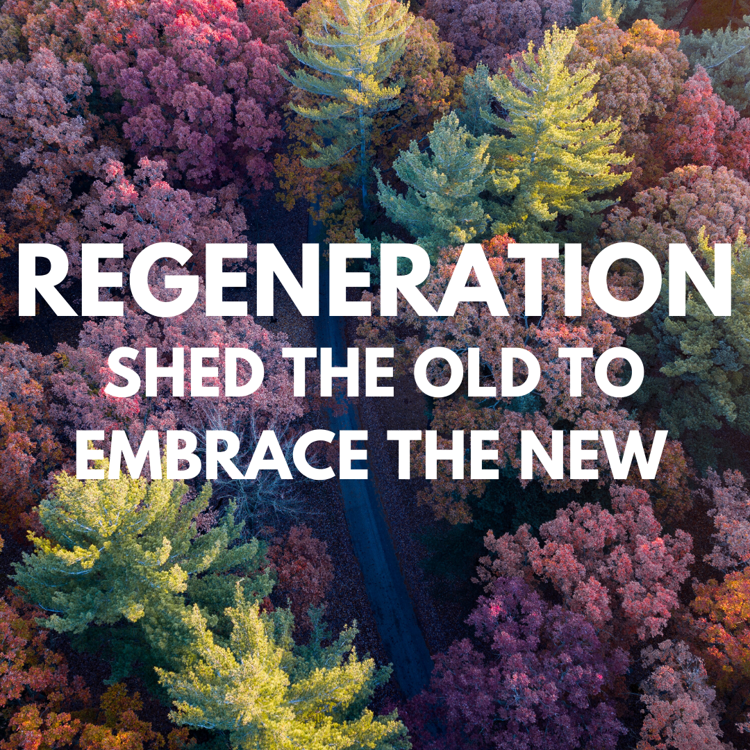 Building Our Regenerative Future
