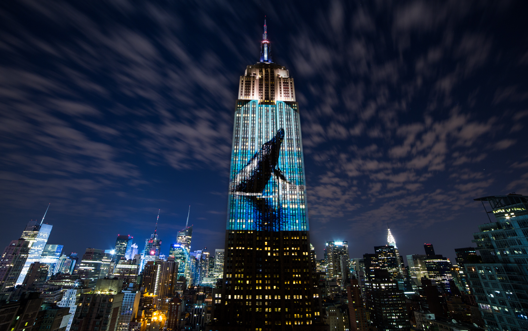 WaterBear releases Racing Extinction for free globally