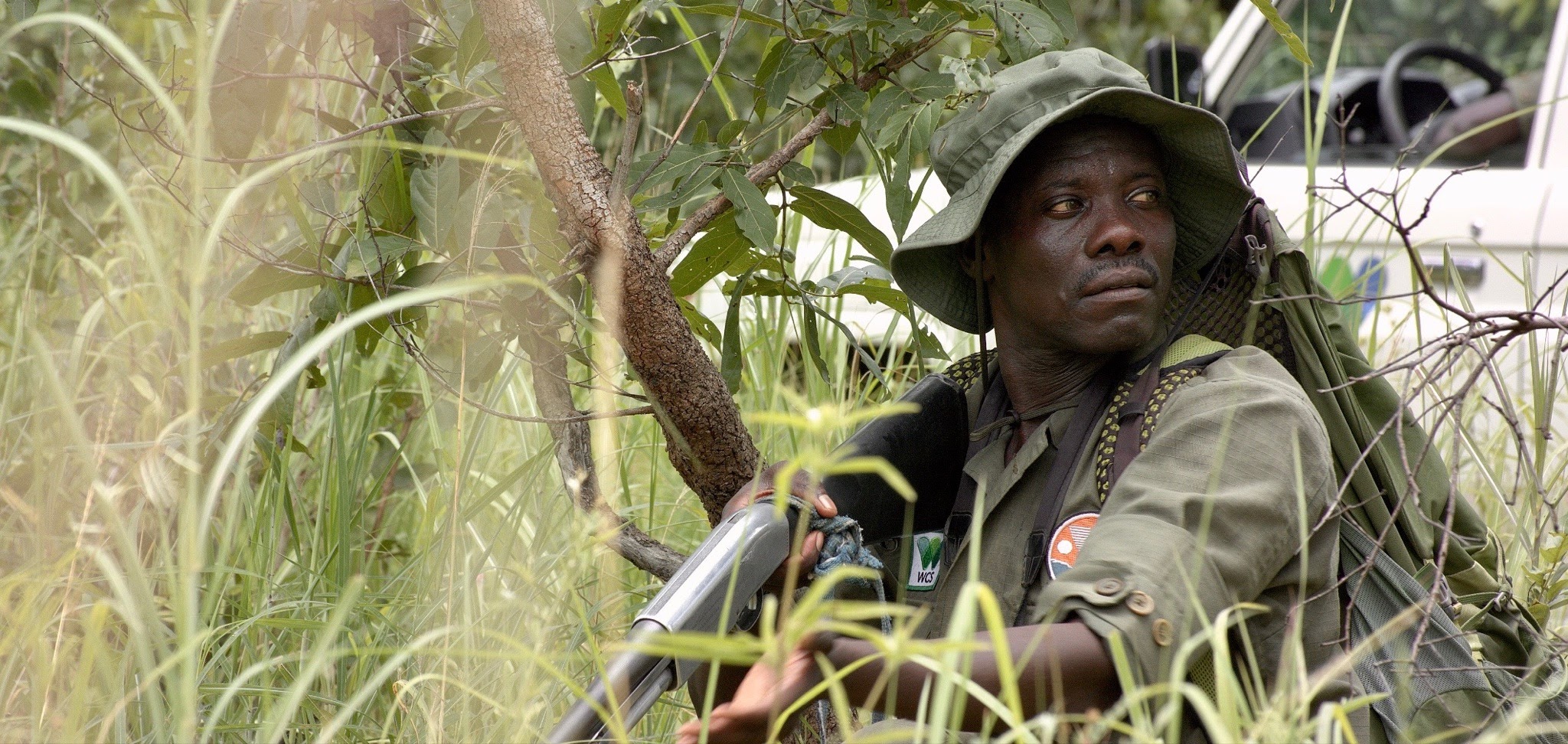 Tusk conservation awards