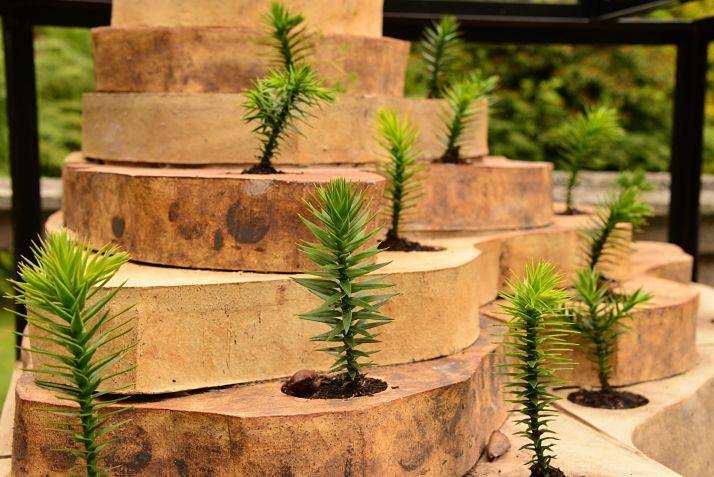 Artists announced for Jerwood Open Forest