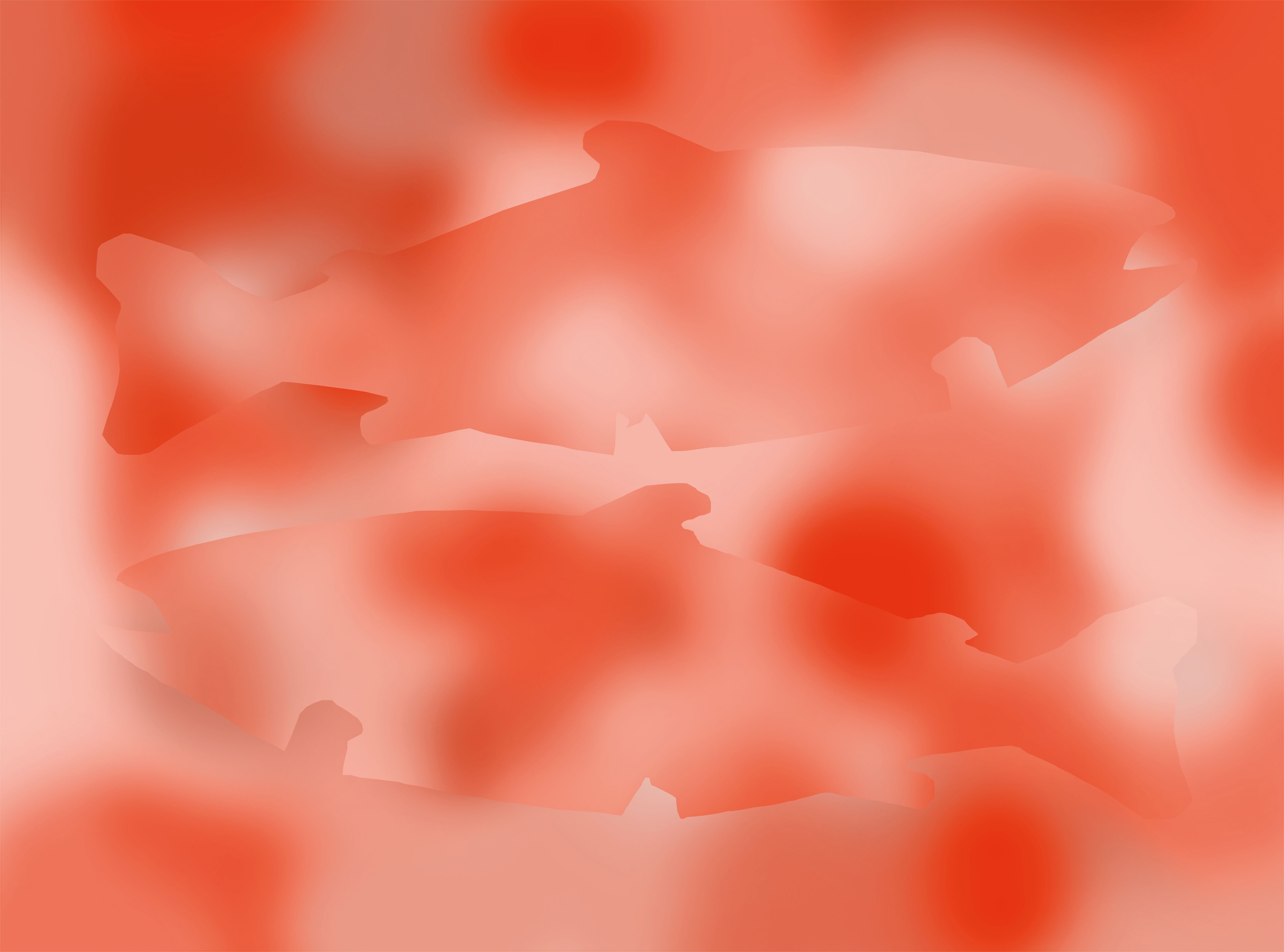 Farmed salmon de-listed from national museum's menus