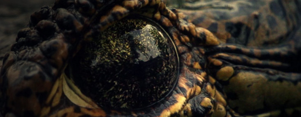 Screen Shot 2016-06-06 at 19.40.07