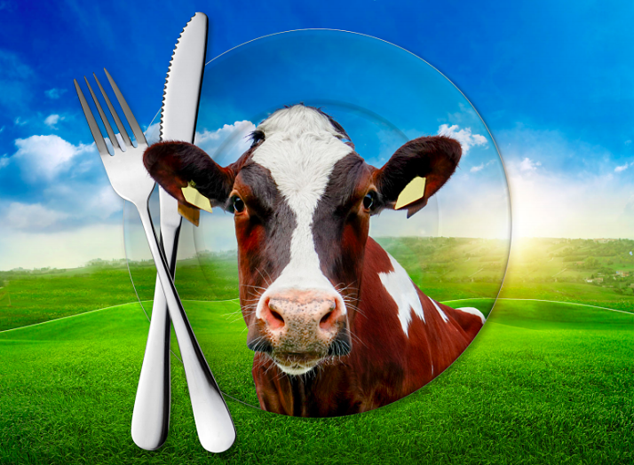 H.O.P.E. - What You Eat Matters