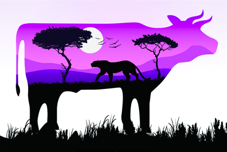 Farming, Food and Nature: Respecting Animals, People and the Environment