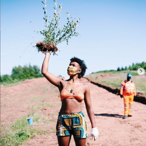 HS2's ideological war against trees