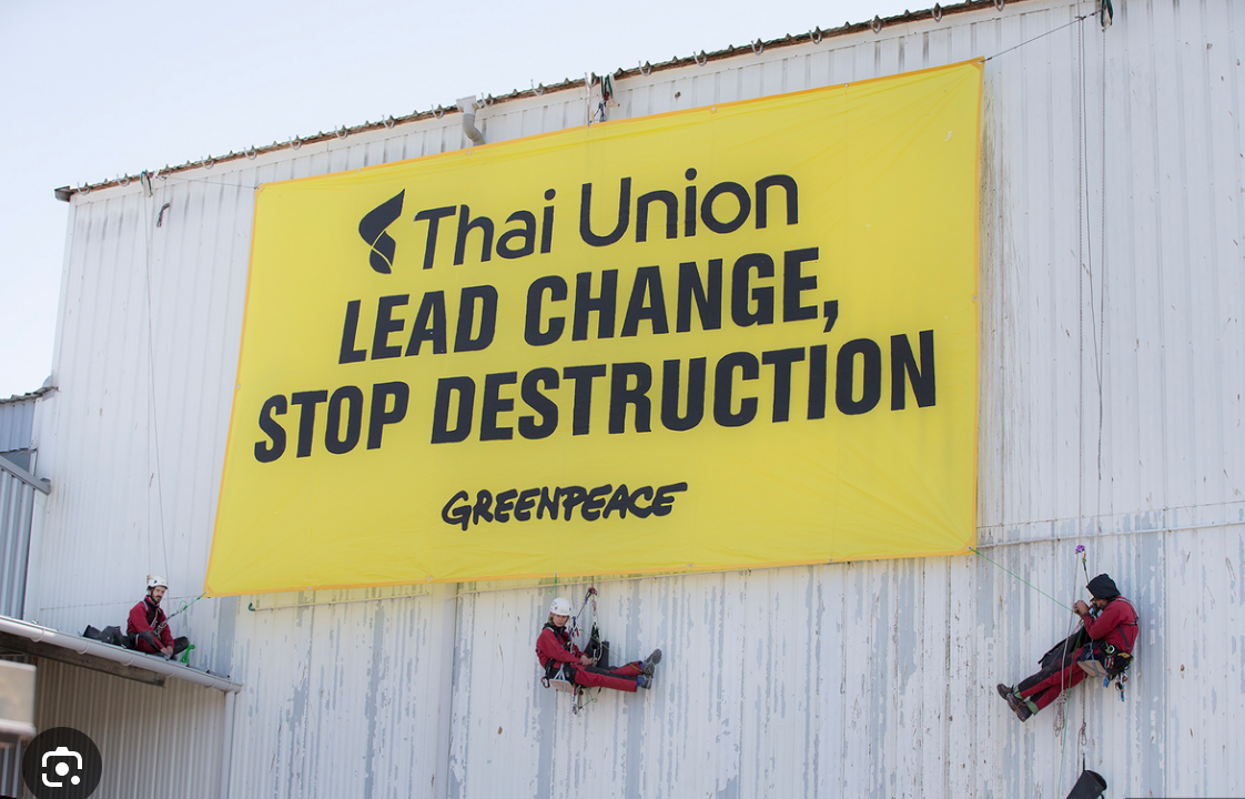 G﻿reenpeace take action