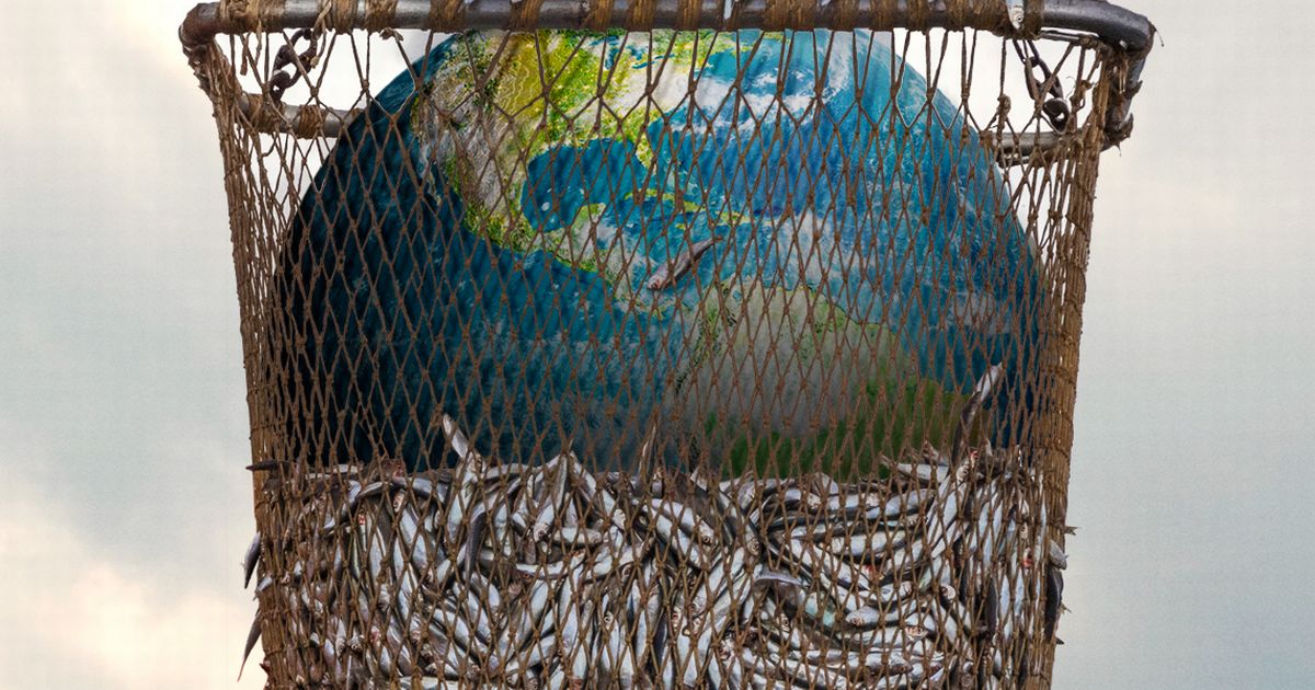 Seaspiracy and Scottish salmon farms