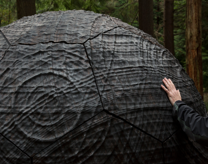 The forests are open for art ideas 