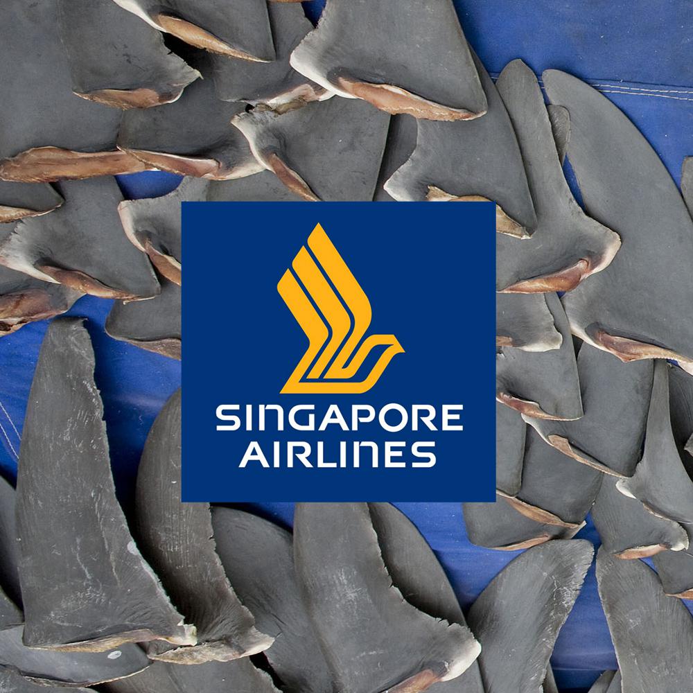 Singapore Airlines Shark Fin Global Day of Action 