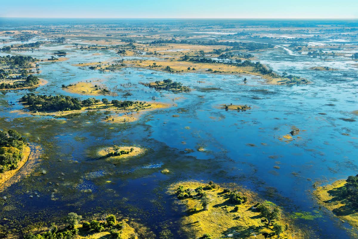Disaster capitalism closes in on Africa's last pristine ecological megastructure