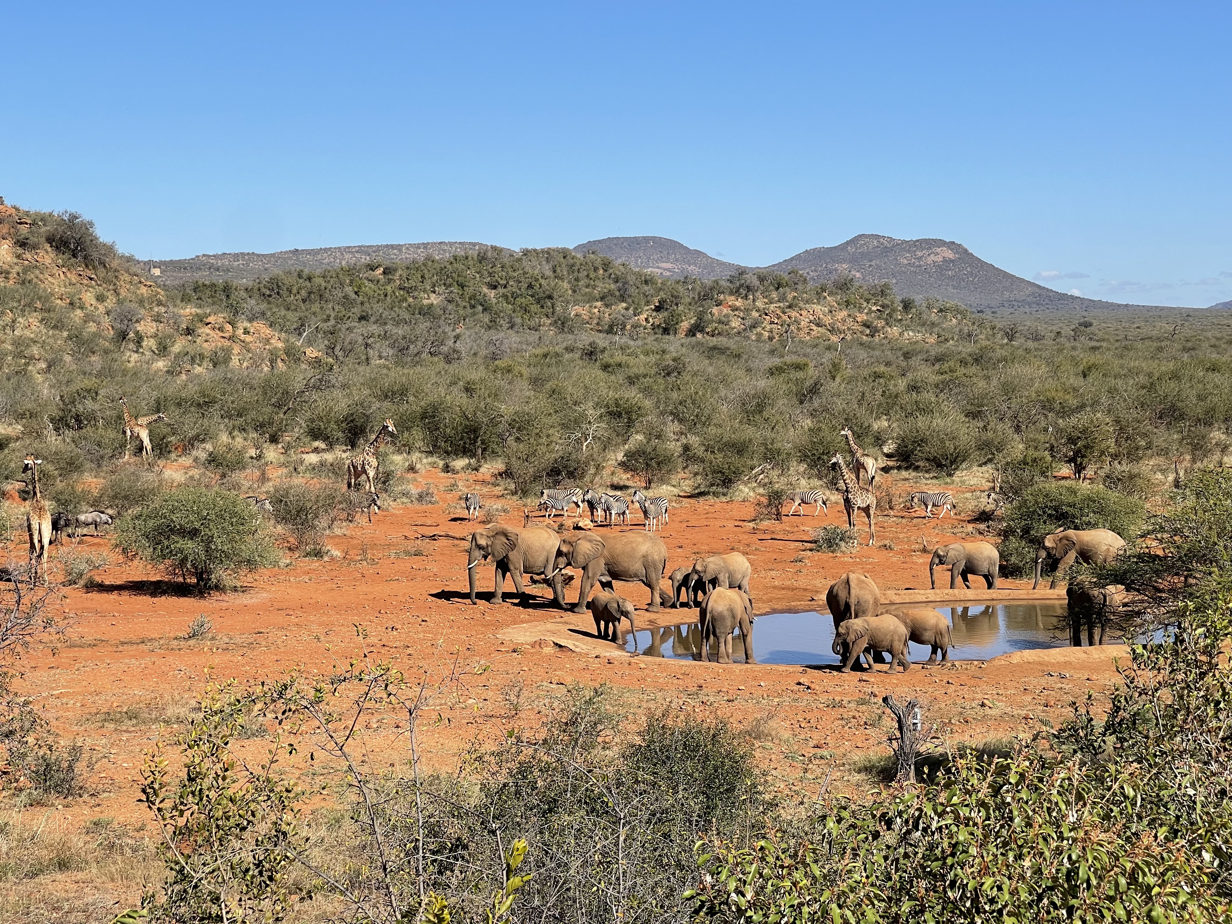 This unique and dynamic biome allows more species to co-exist in one area (C) Connected Conservation Foundation