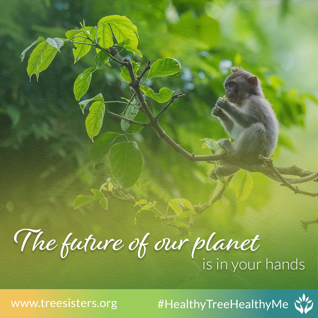 2020 – the year it all changed