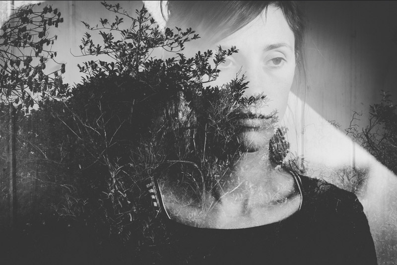 Women Lead Calls for a Global Reforestation Revolution at The Tree Conference