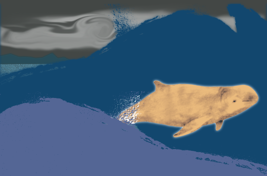 The Sounding - Legends & Tales Of Dolphins & Whales