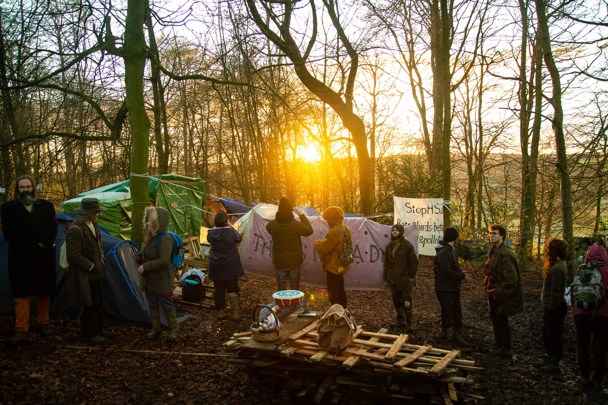 Voices from the trees