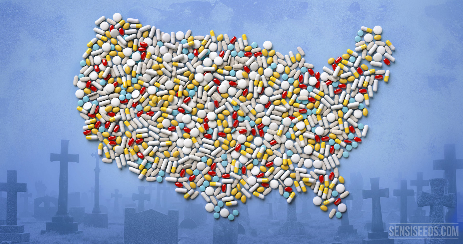 Opioid crisis in the US – could medicinal cannabis be a solution?