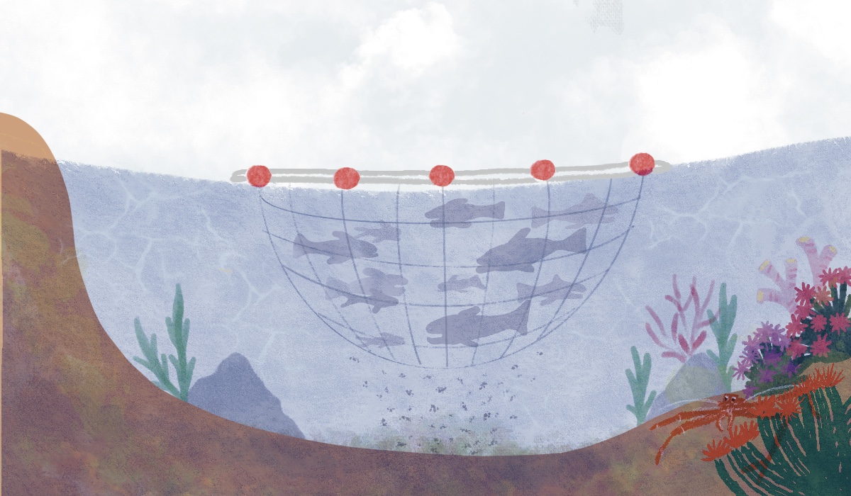 What is killing the serpulid reefs of Loch Creran?