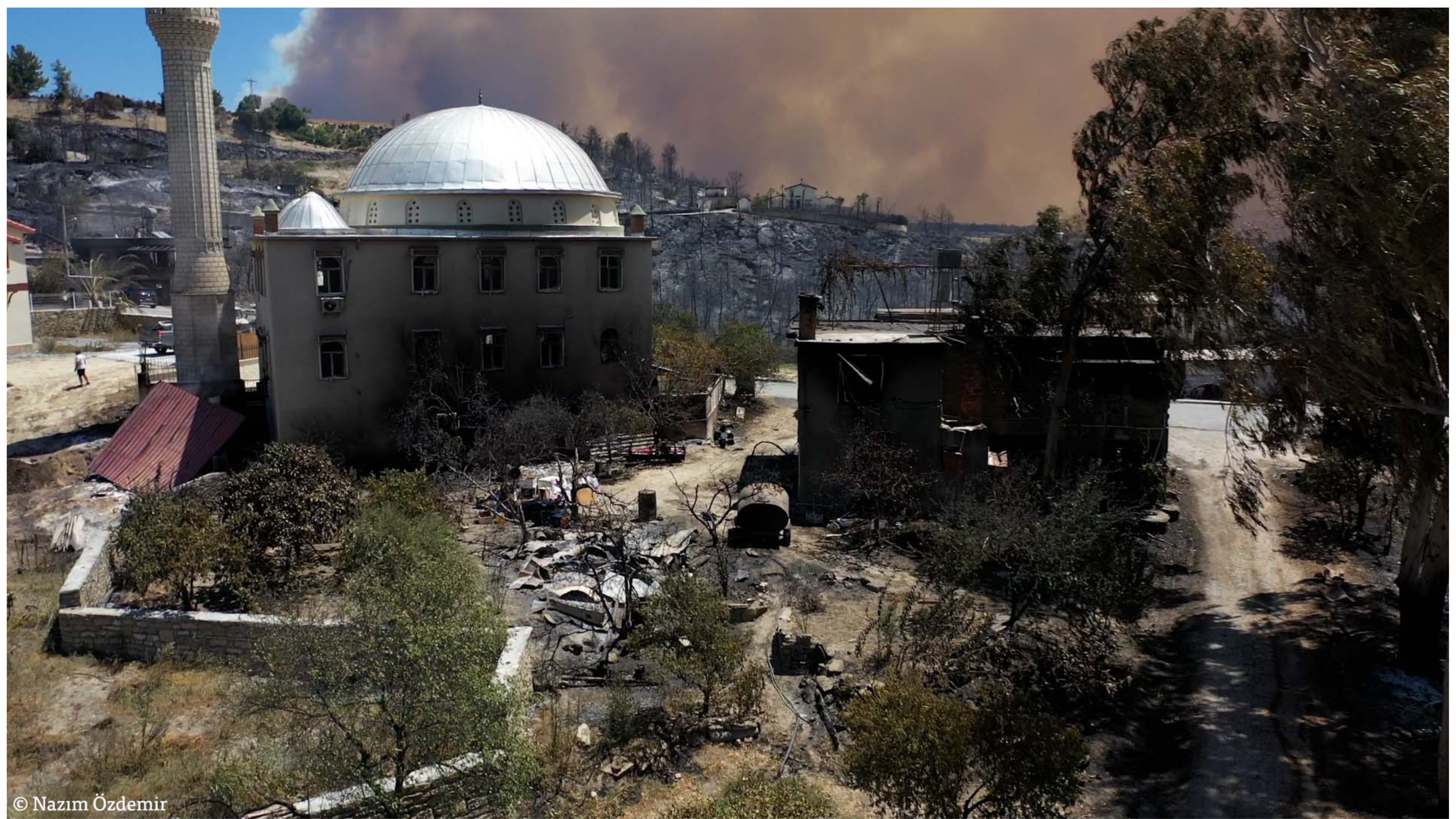 Anyone impeding climate action now has blood on their hands