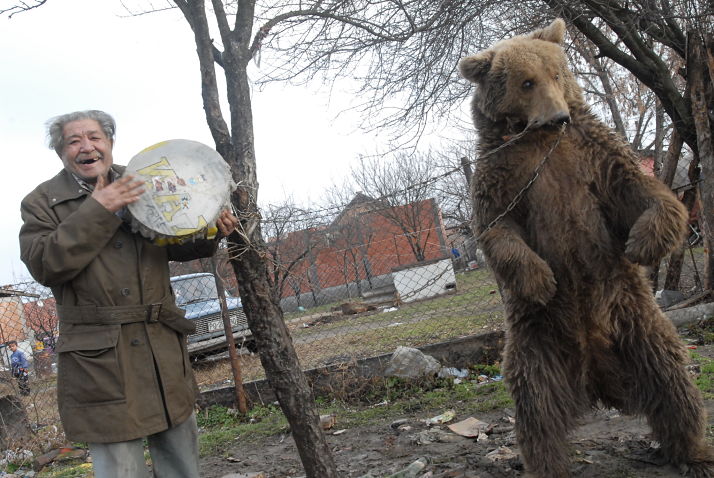Final Dancing Bears in Bulgaria and Serbia Free at Last