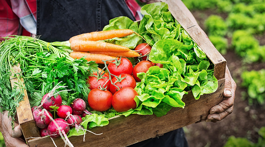 Food Sustainability Media Awards Tackle Three Major Paradoxes