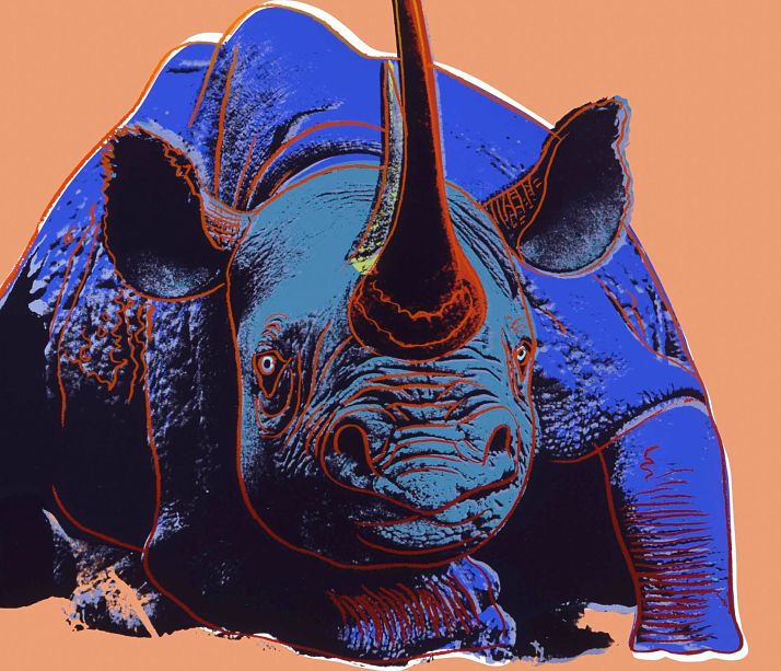 Staring into the abyss of The Sixth Mass Extinction