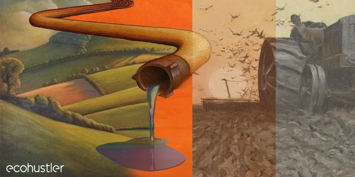 Bad farming belittles beautiful Bruton