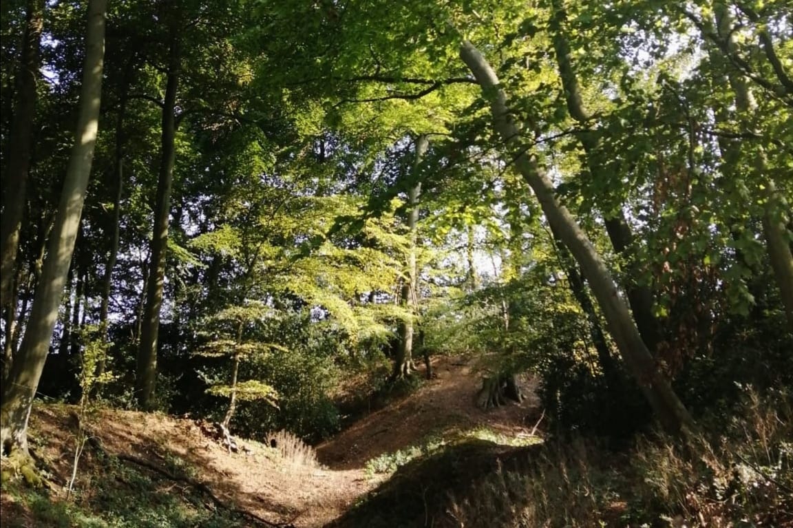  Earth Protector HS2 crowd fundraiser