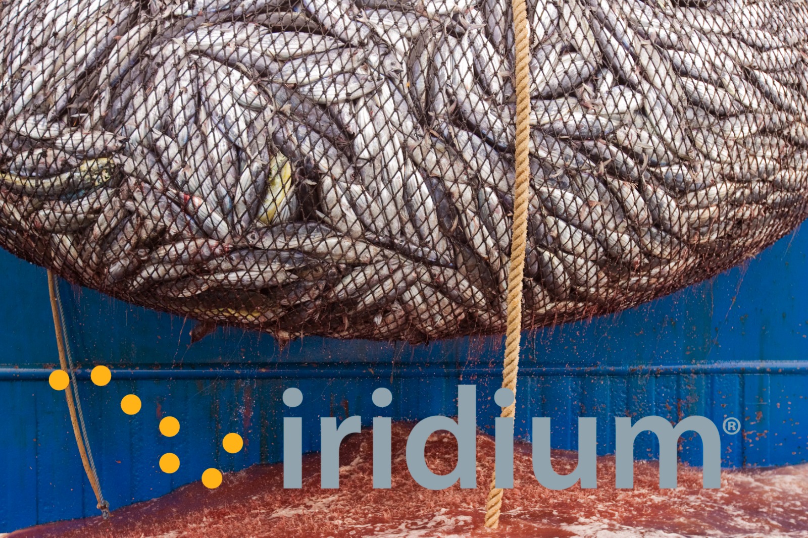 Iridium satellites enabling overfishing