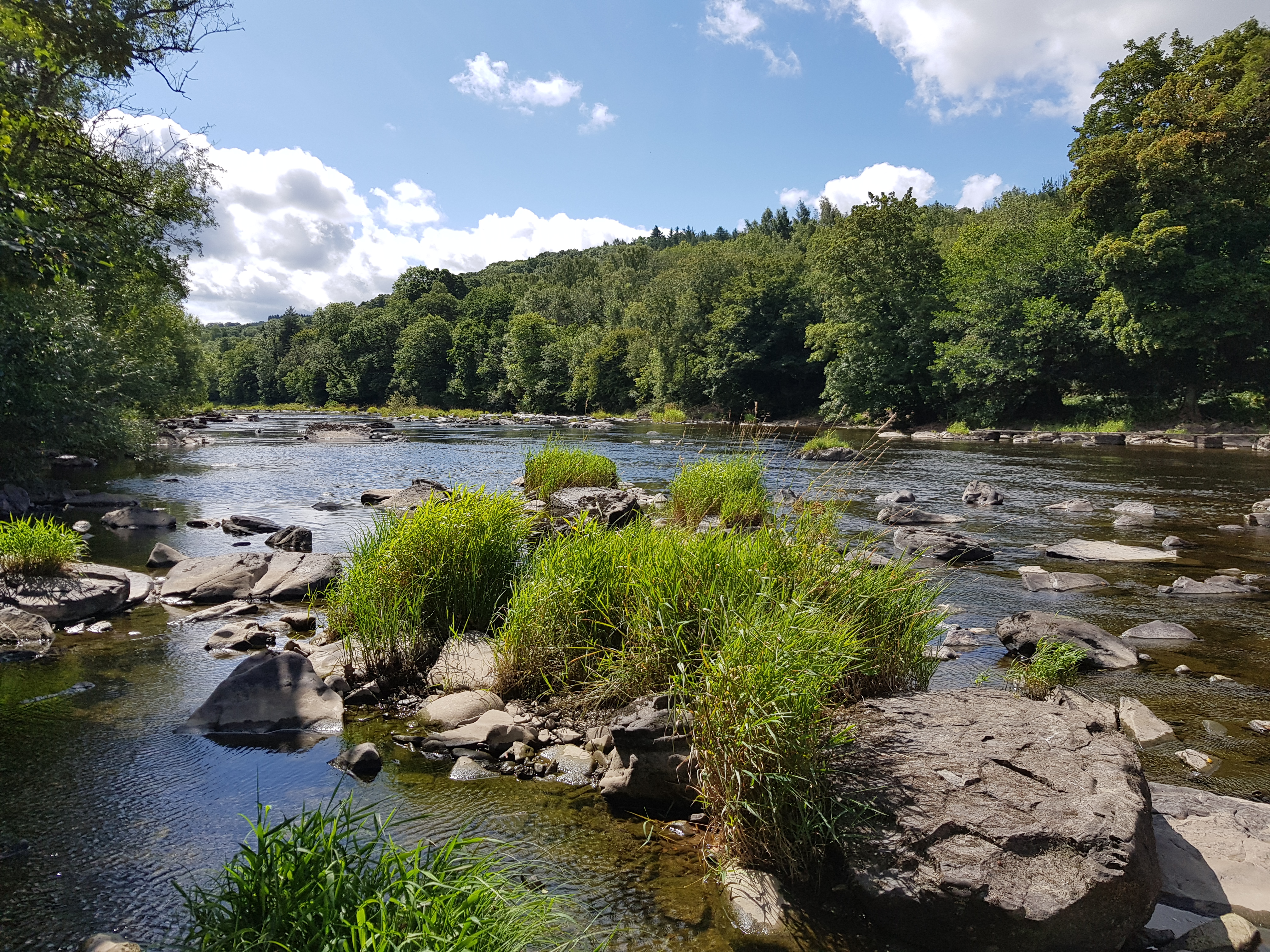 Defra dragged back to High Court over dismal state of rivers