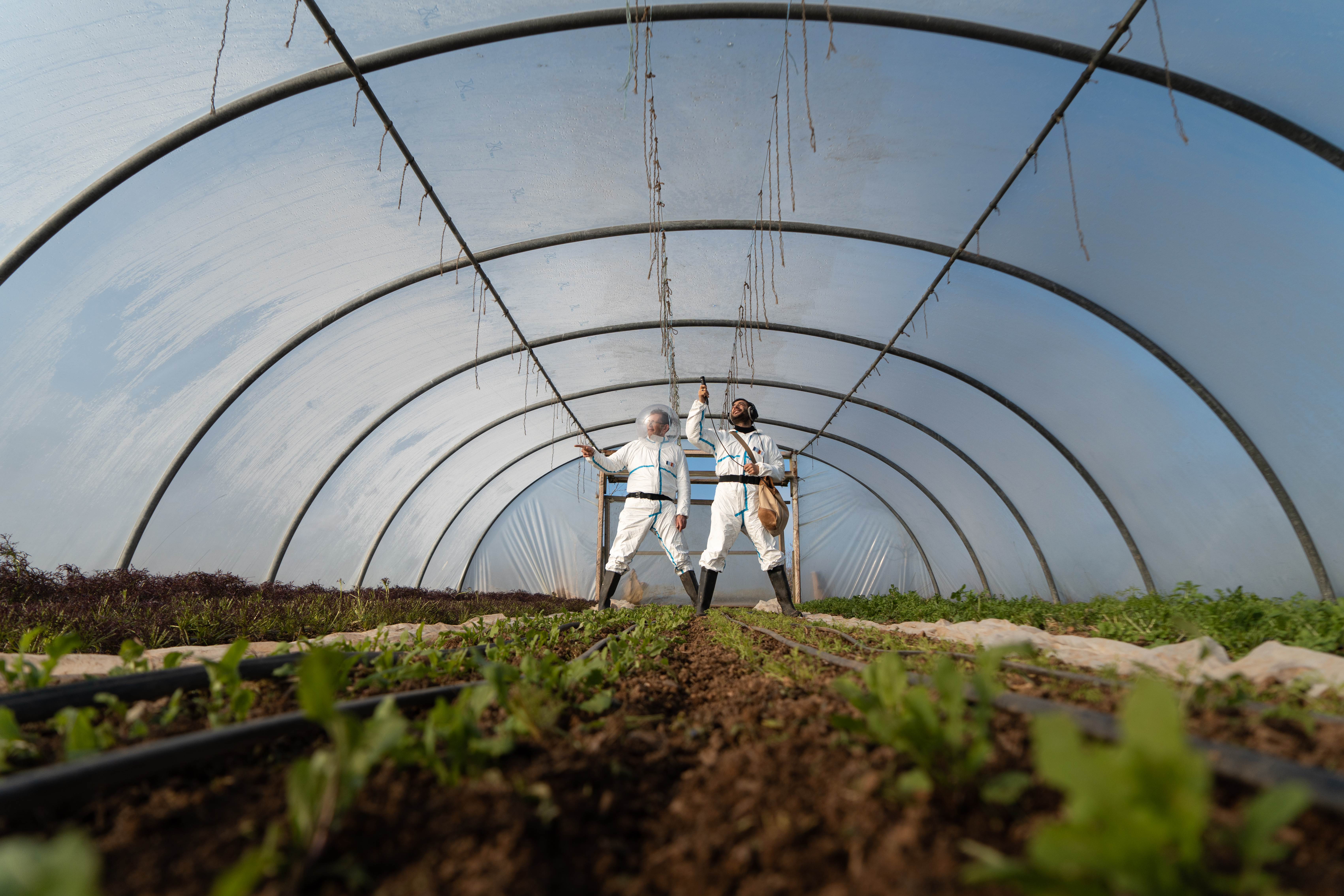 Time travellers fall in love with Frome's future