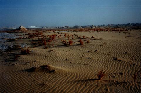 Climate change and the poor