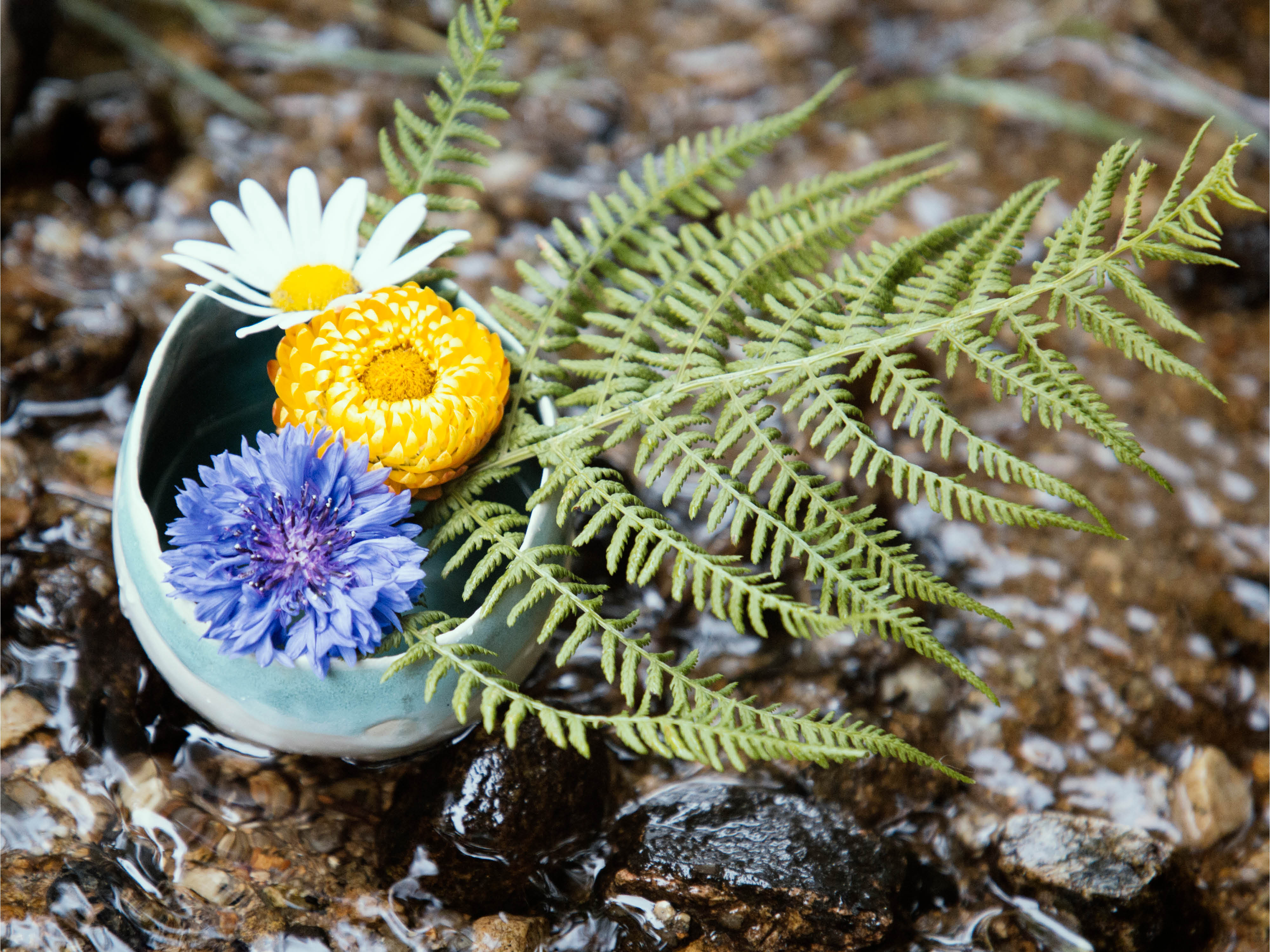 Nine ways to integrate psychedelic experience for lasting change