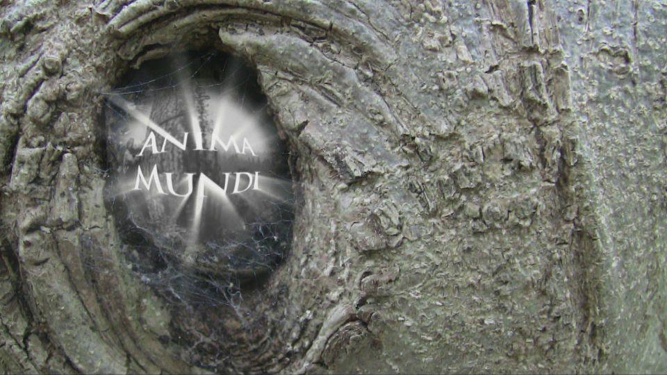 Anima Mundi