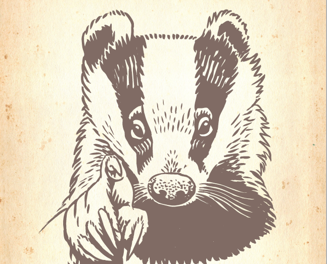 The People’s Walk for Wildlife