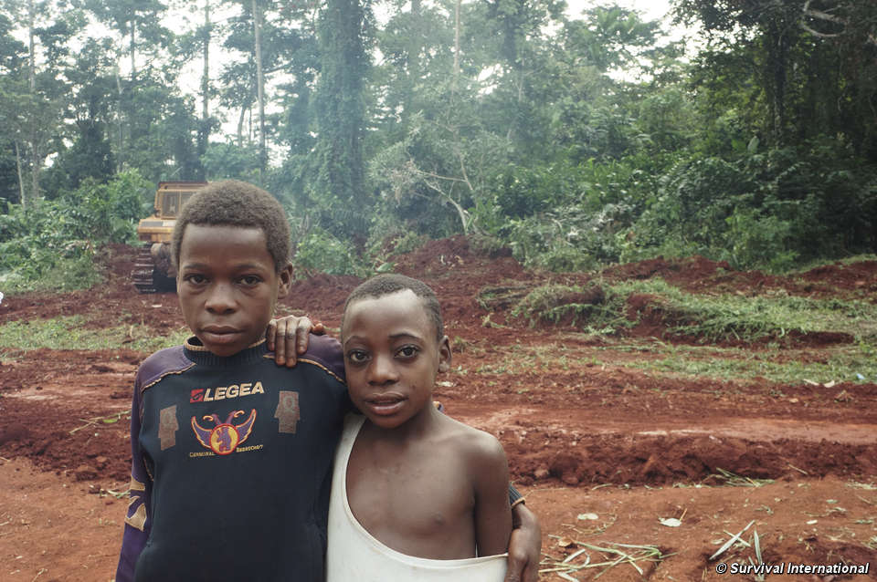 UN condemns WWF flagship project in Congo