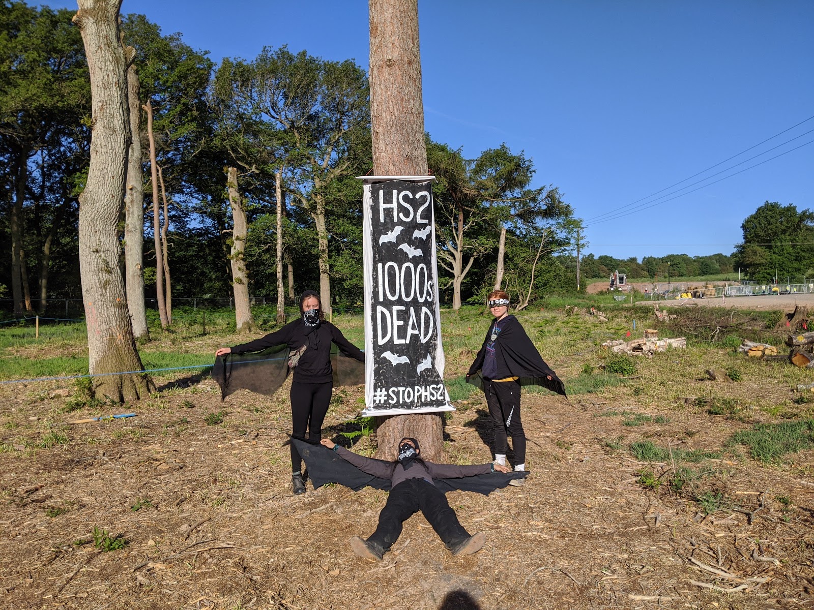 Boris’ chop-down in lockdown