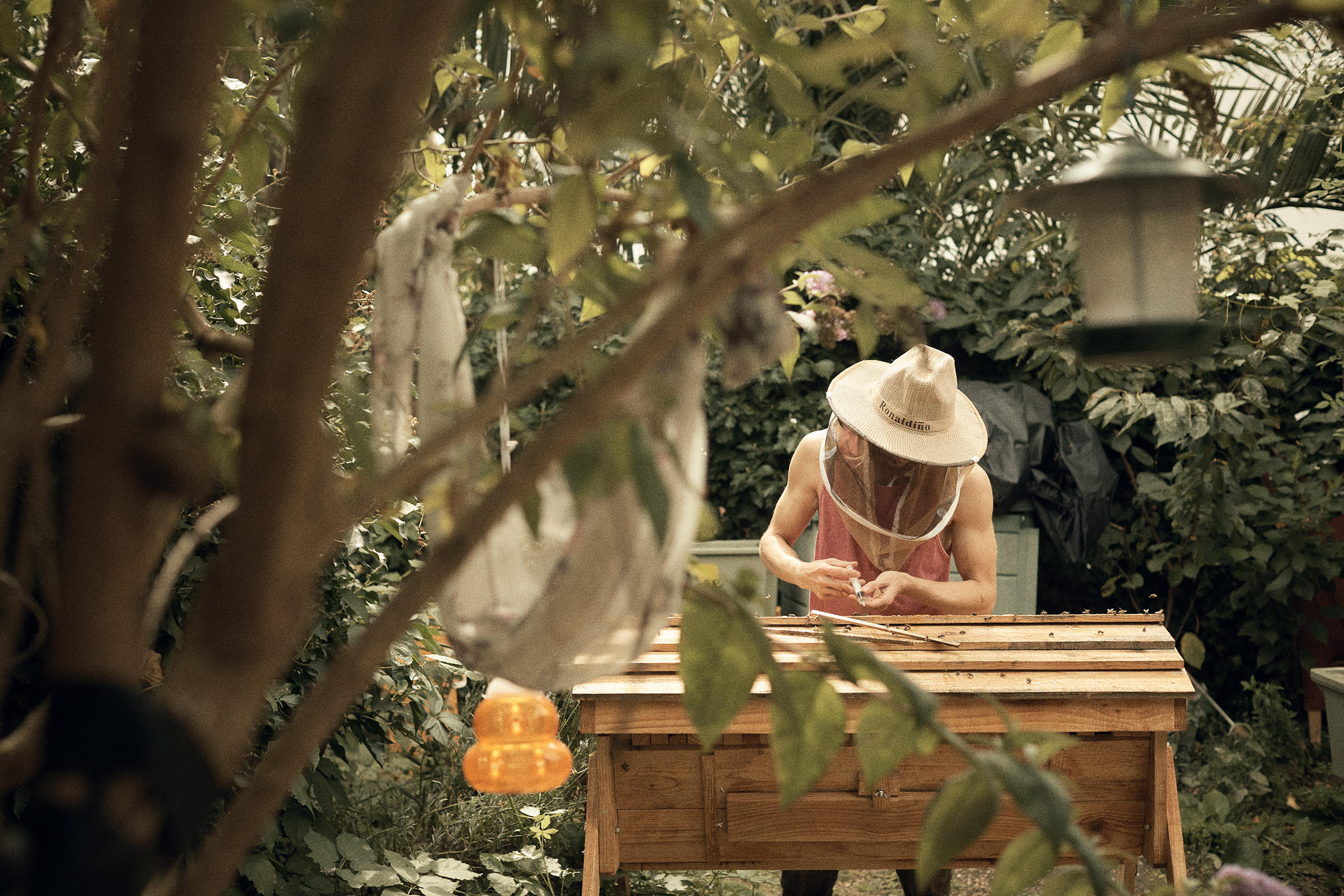 ‘Bee Love’ campaign in supports native black bees and refugees 