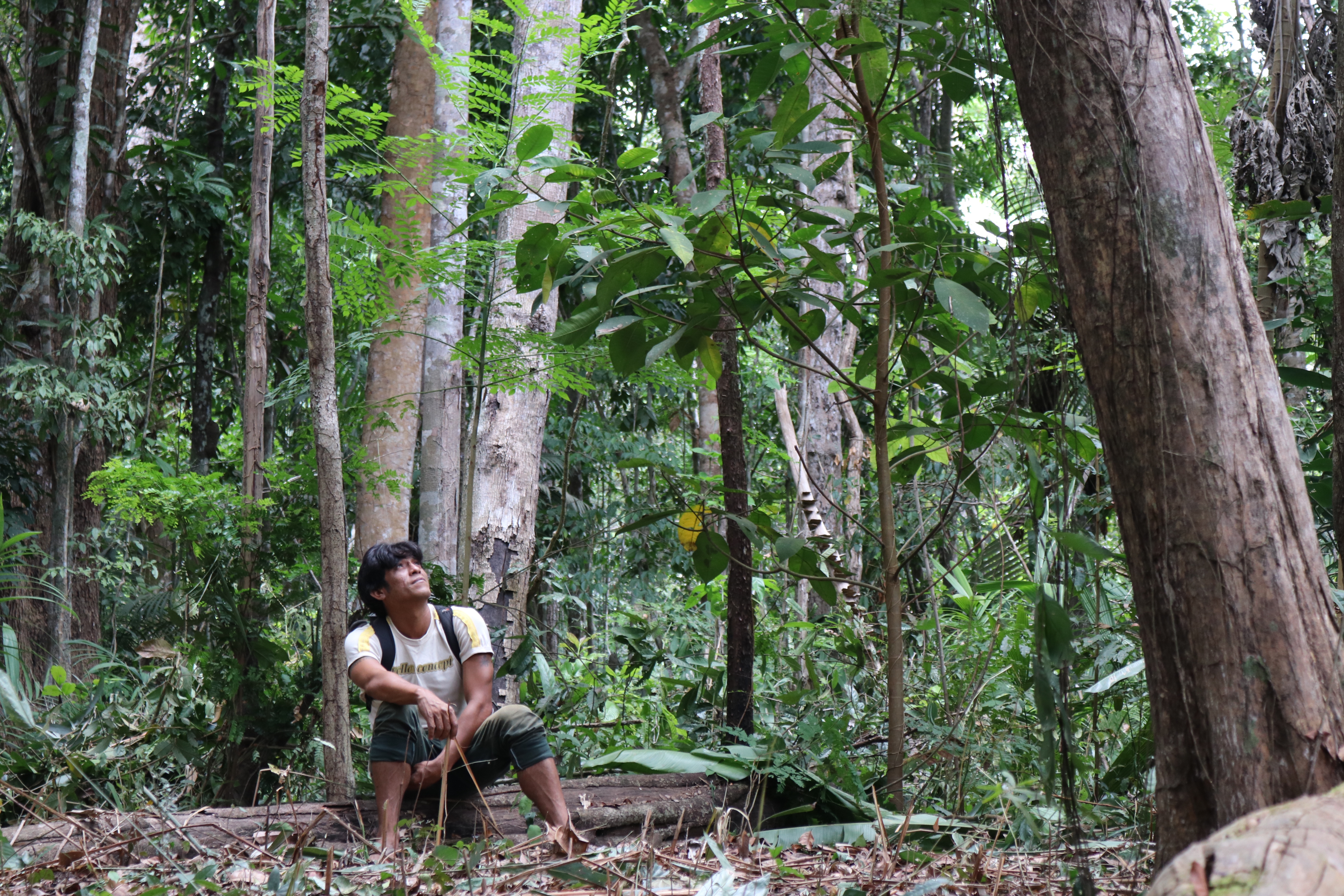 Without our forest... everything will end