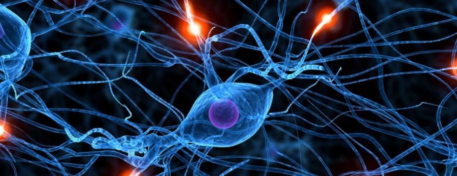 Change your brain, change your mind