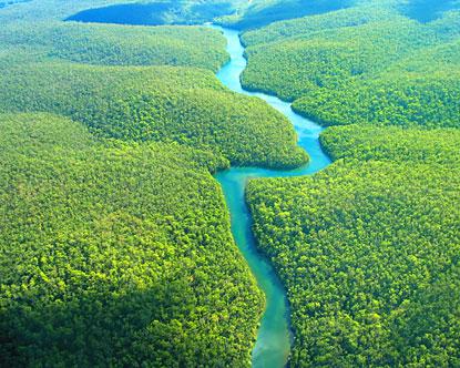 The Amazon is speaking to YOU - can you hear her?