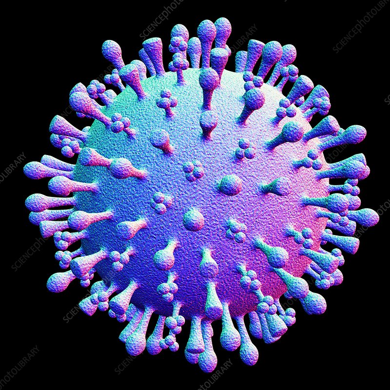 Bird flu - a clear and present danger