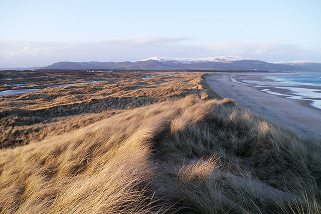 More golf courses in Scotland too coarse for the environment