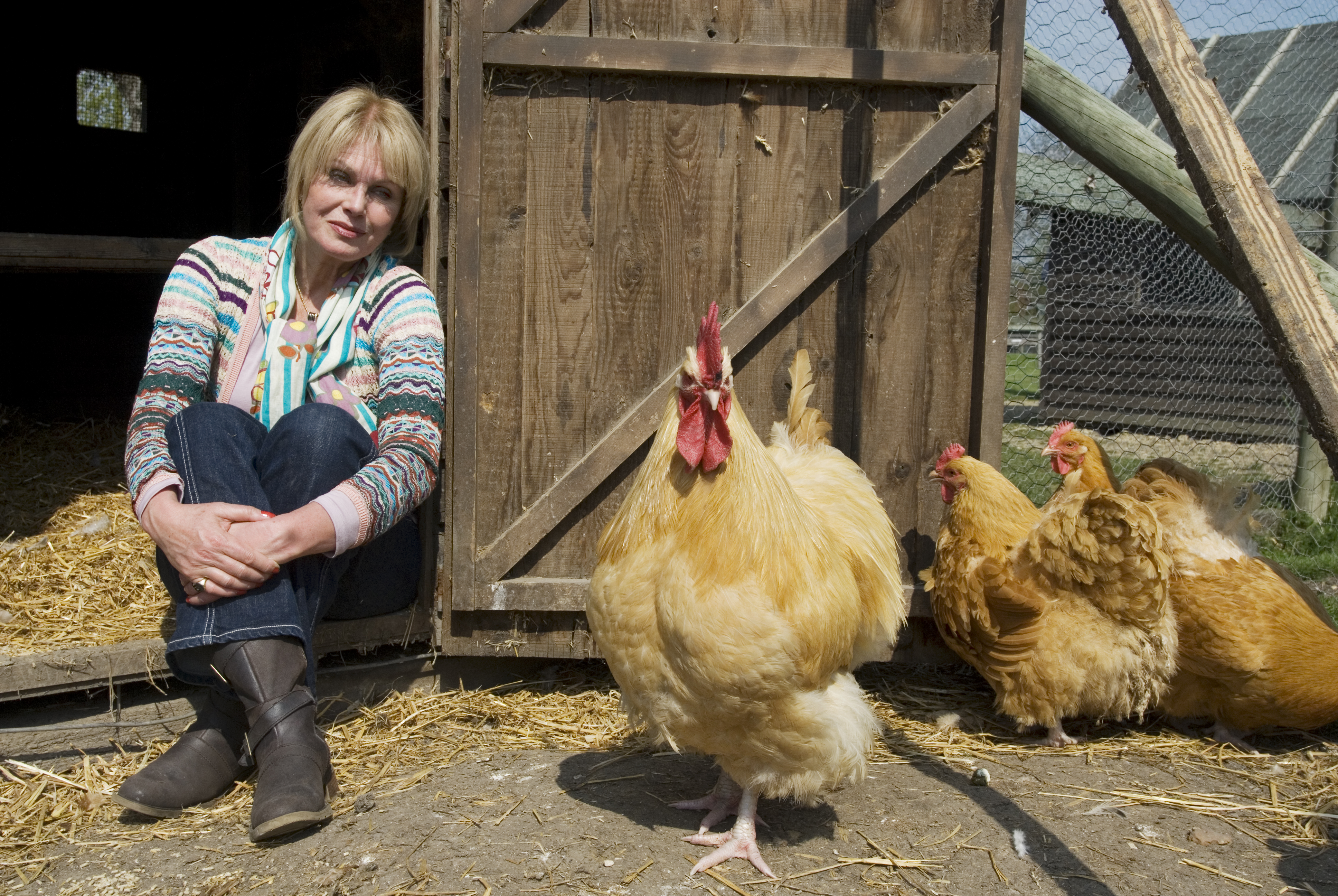 How to turn the food system around - for humans, animals and the planet