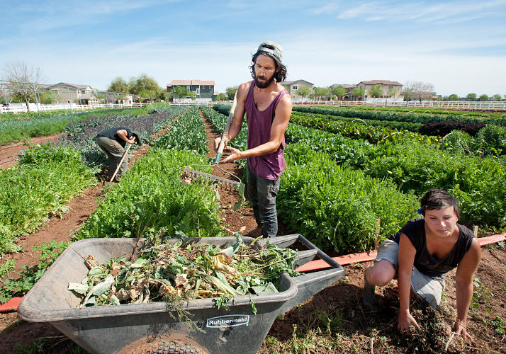 Community-owned farms - restoring land to the people
