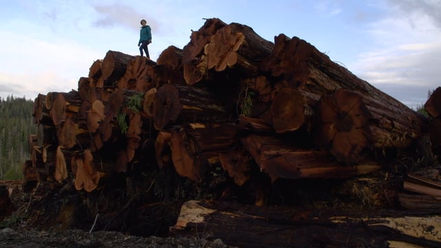 Heartwood - draw the line