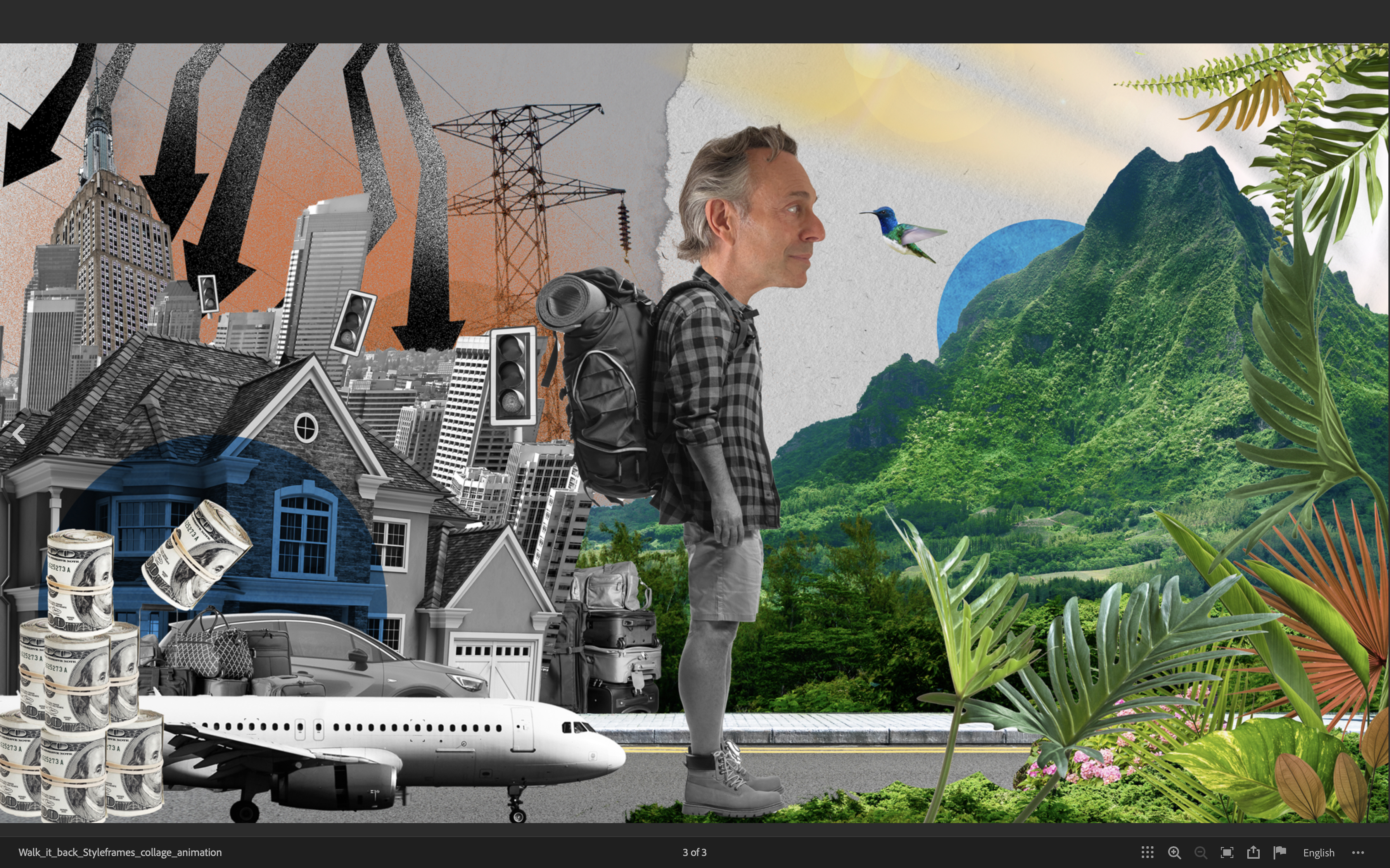 The ultimate guilt trip - mega polluter pays $1m to carbon removal projects to reverse his lifetime emissions