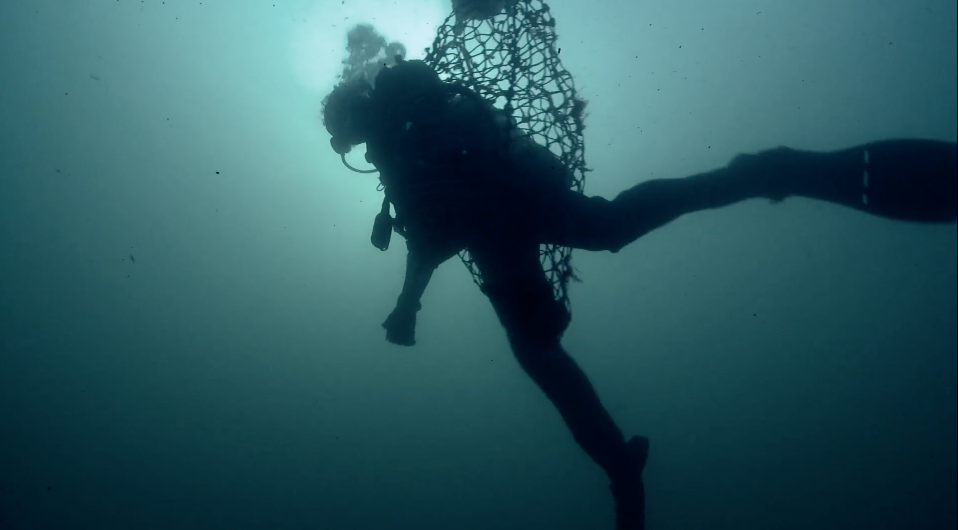 The Limit - how to save our Scottish seas