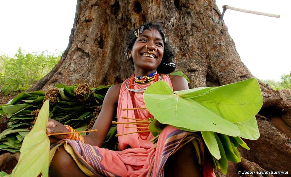 Proud, Not Primitive