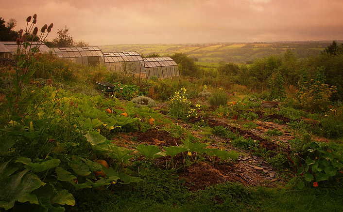 4 effective climate responses if you have land