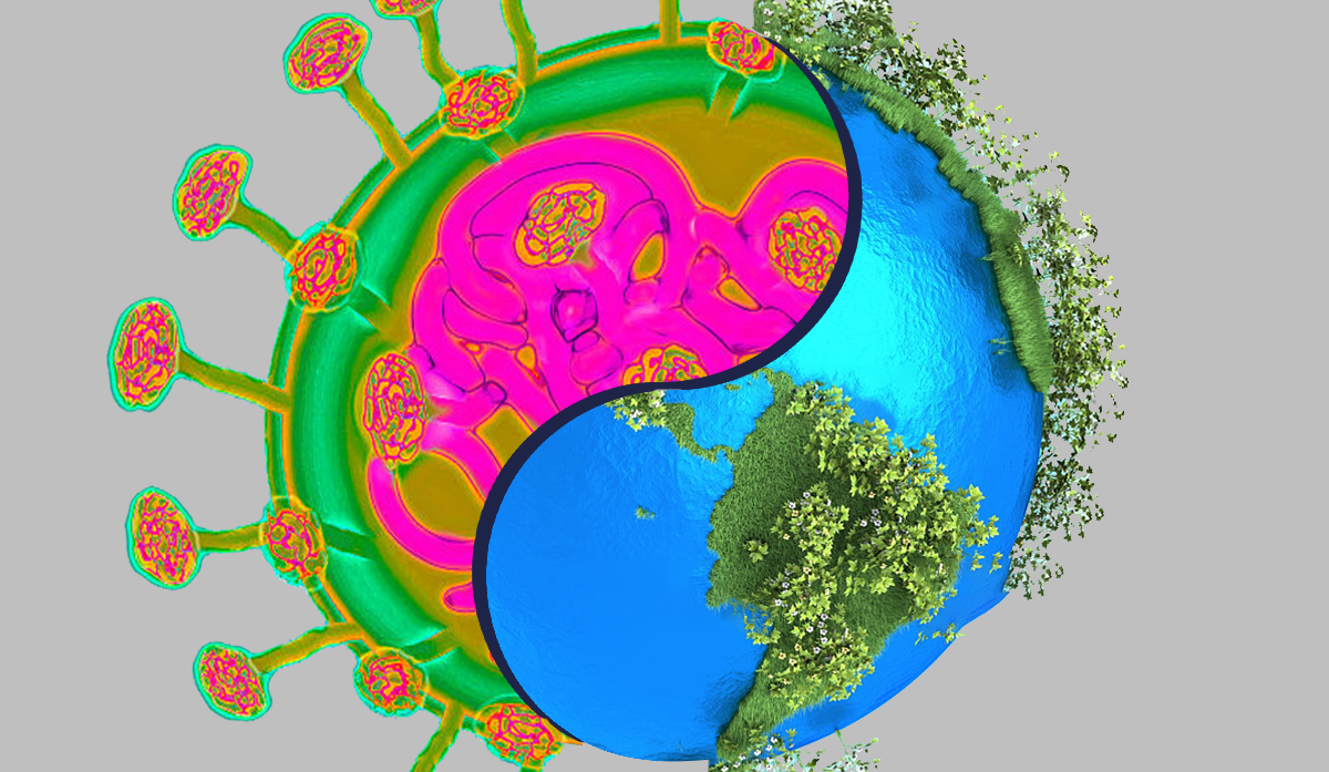 5 ways coronavirus could help humanity survive the ecological crisis